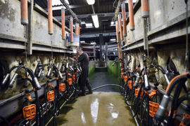 Les cotisations sont fixées en fonction de la situation de l’exploitant au 1er janvier de l’année considérée.